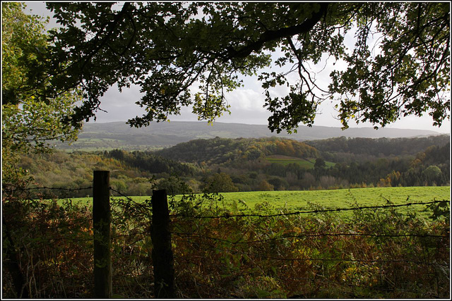 Llangybi view