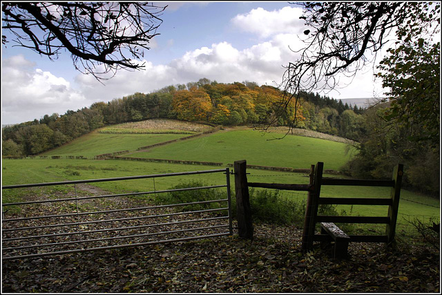 The castle mound