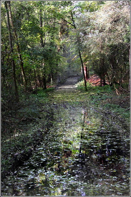 Flooded track