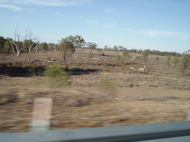 1071 Narrabri-Walgett 009