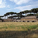 The Park of the Aqueducts in Rome, June 2012