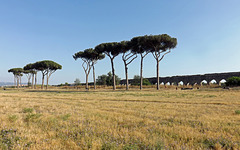 The Aqua Claudia and Anio Novus in the Park of the Aqueducts in Rome, June 2012