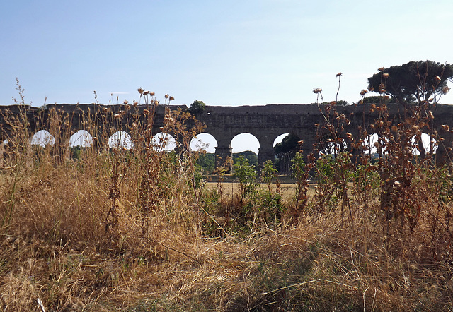 The Aqua Claudia and Anio Novus in the Park of the Aqueducts in Rome, June 2012