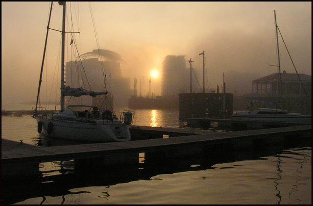 fog in the Bay