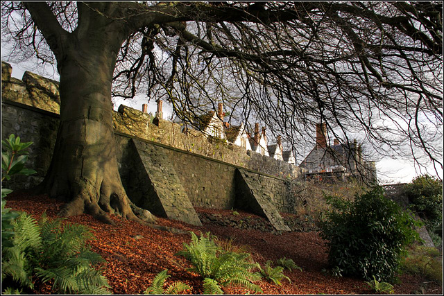 Castle wall