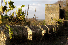 Battlements