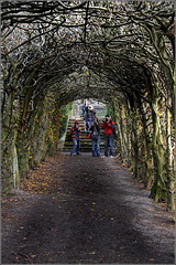 Tunnel of WFC'ers