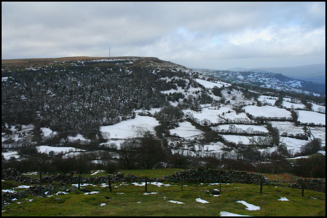 snowy fields