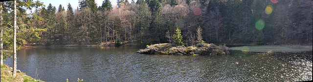 BALLON D'ALSACE: Etang des roseaux: Panoramique.