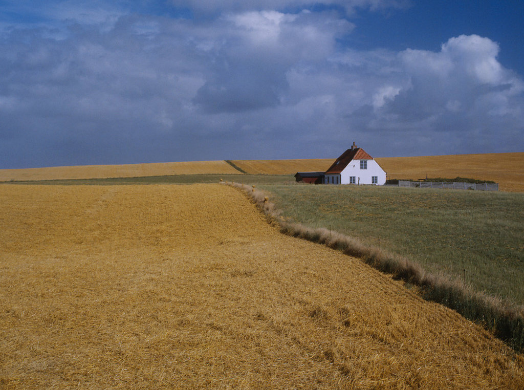 Summer in Jütland