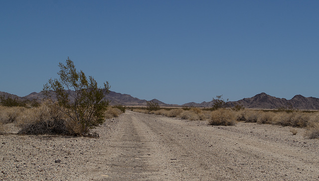 CA-62: Rice Army Airfield runway (0648)