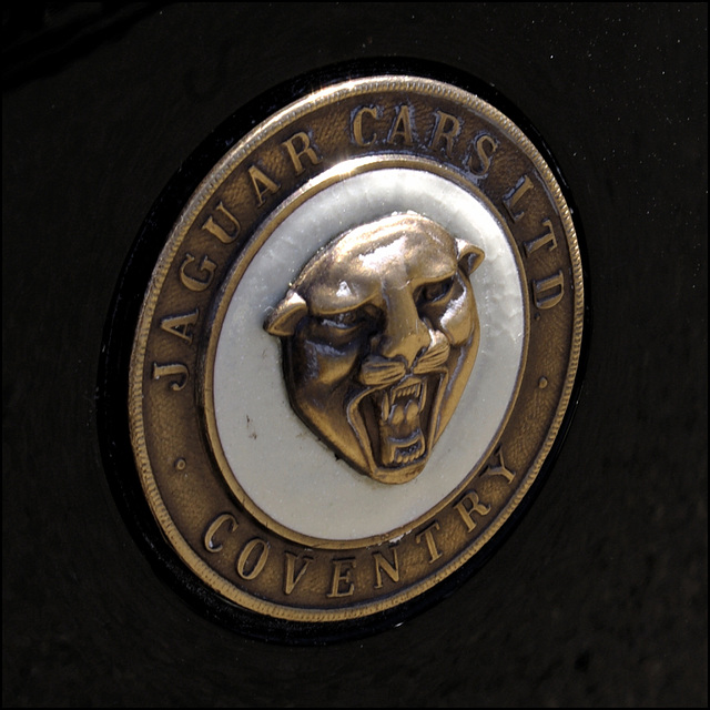 1951 Jaguar C-Type Badge 01 20120603