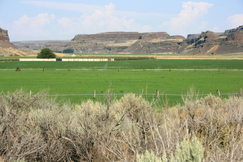 Irrigated farmland, Moses Coulee, Washington state, USA