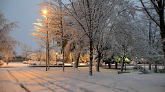 BELFORT: Chute de neige du 8 decembre 2012.00