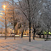 BELFORT: Chute de neige du 8 decembre 2012.00