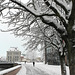 BELFORT: Chute de neige du 8 decembre 2012.04