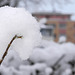 BELFORT: Chute de neige du 8 decembre 2012.06