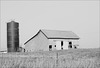 Barn, Musgrove Highway