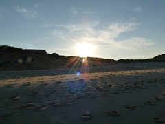 Nauset Light Beach