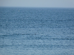 Nauset Light Beach