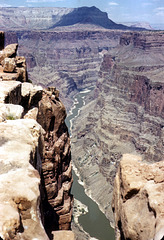 Colorado River from Toroweap Point