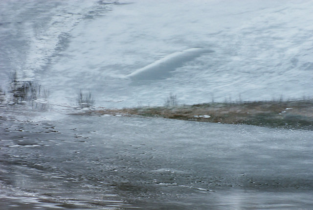 Reflection in ice on Hurst Reservoir