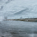 Reflection in ice on Hurst Reservoir