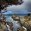 Point Lobos