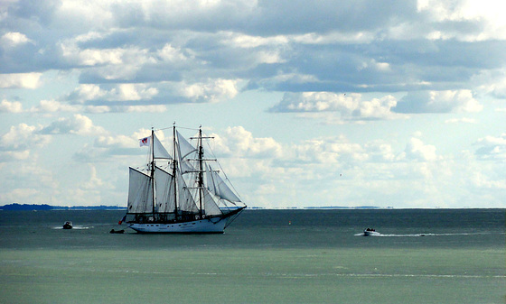 Le Marité à Granville 03-08-2013 17-51-025