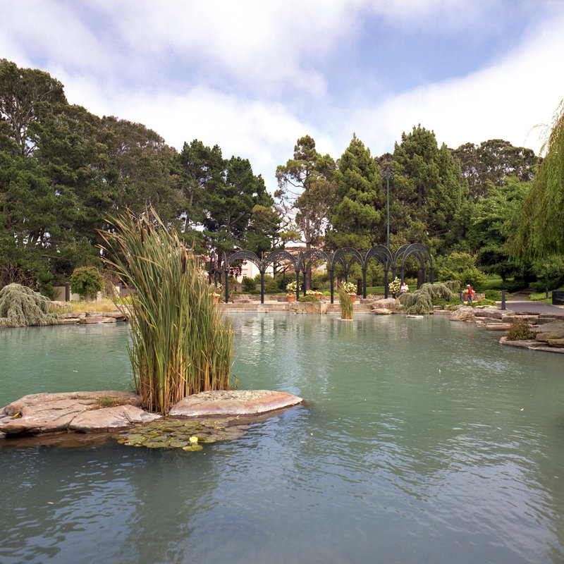 Campus Pond