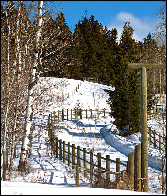 Near Lac La Hache, BC