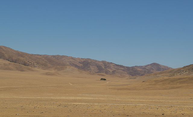 Little Panoche Rd (0427)