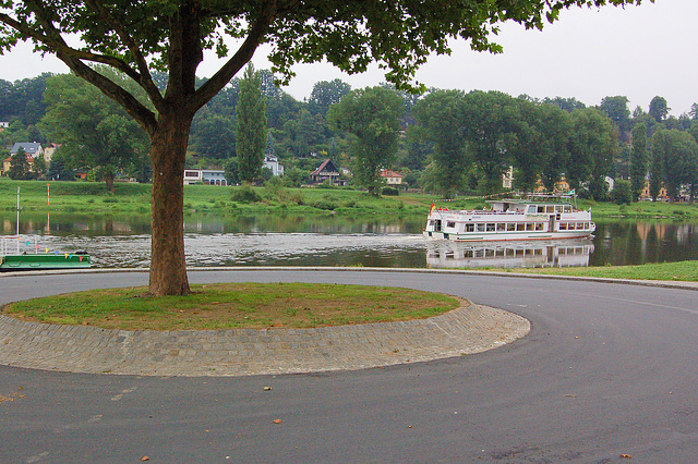 arbo, rivero Elbe  kaj ŝipo (Baum, Fluß Elbe, Schiff)