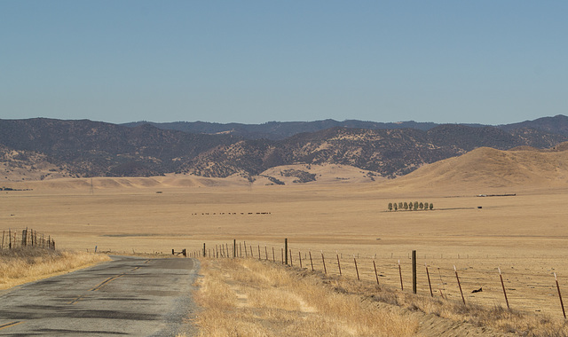 Little Panoche Rd (0425)