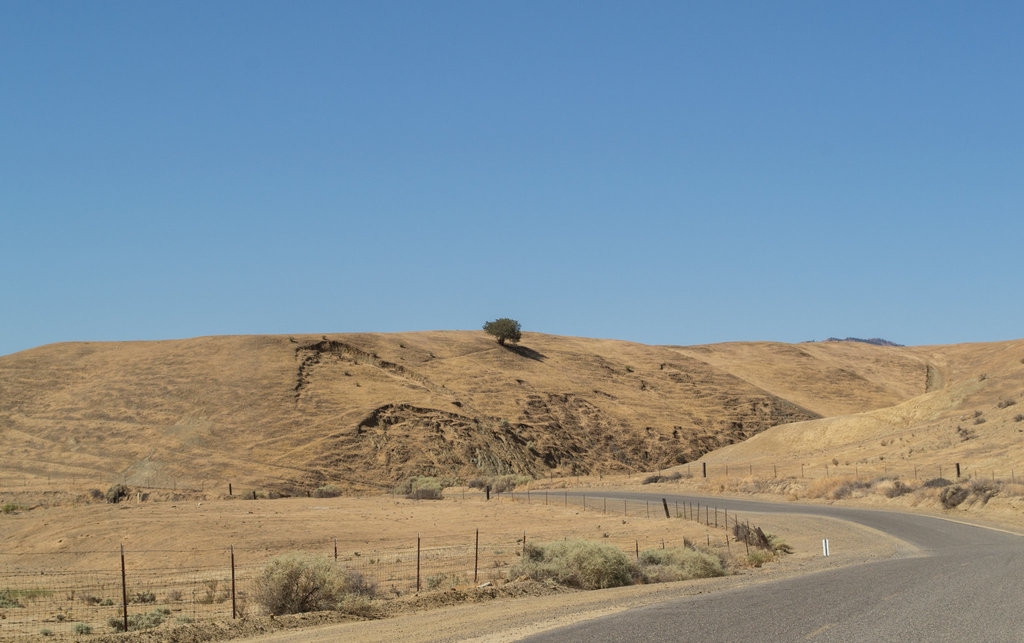 Little Panoche Rd (0423)