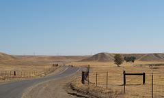 Little Panoche Rd (0420)