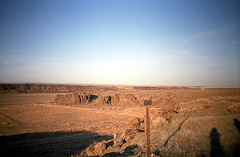 18-moses_wetland_ig_adj