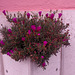 Wall flowerpot