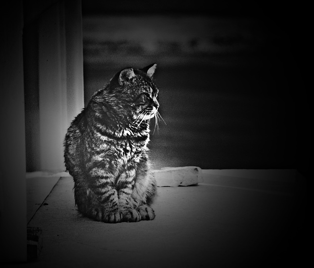 My Last Breath