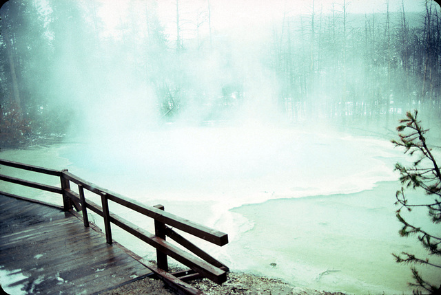 20-yellowstone_ig_adj