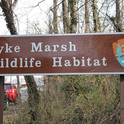 Dyke Marsh