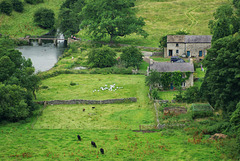 farming in the Derbyshire Dales