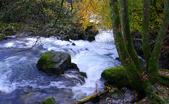 Langdale Beck