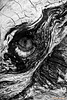 the eye of the cyclops/bw