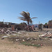 Échevelé au vent / Despeinado al viento.