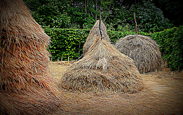 Des Meules impressionnantes - Jardin 15 (5)