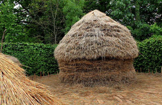 Des Meules impressionnantes - Jardin 15 (6)