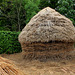 Des Meules impressionnantes - Jardin 15 (6)