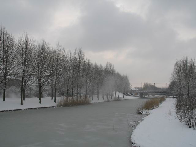 Icewind, The Netherlands