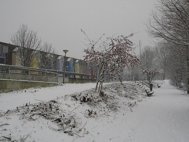 Colourful Houses